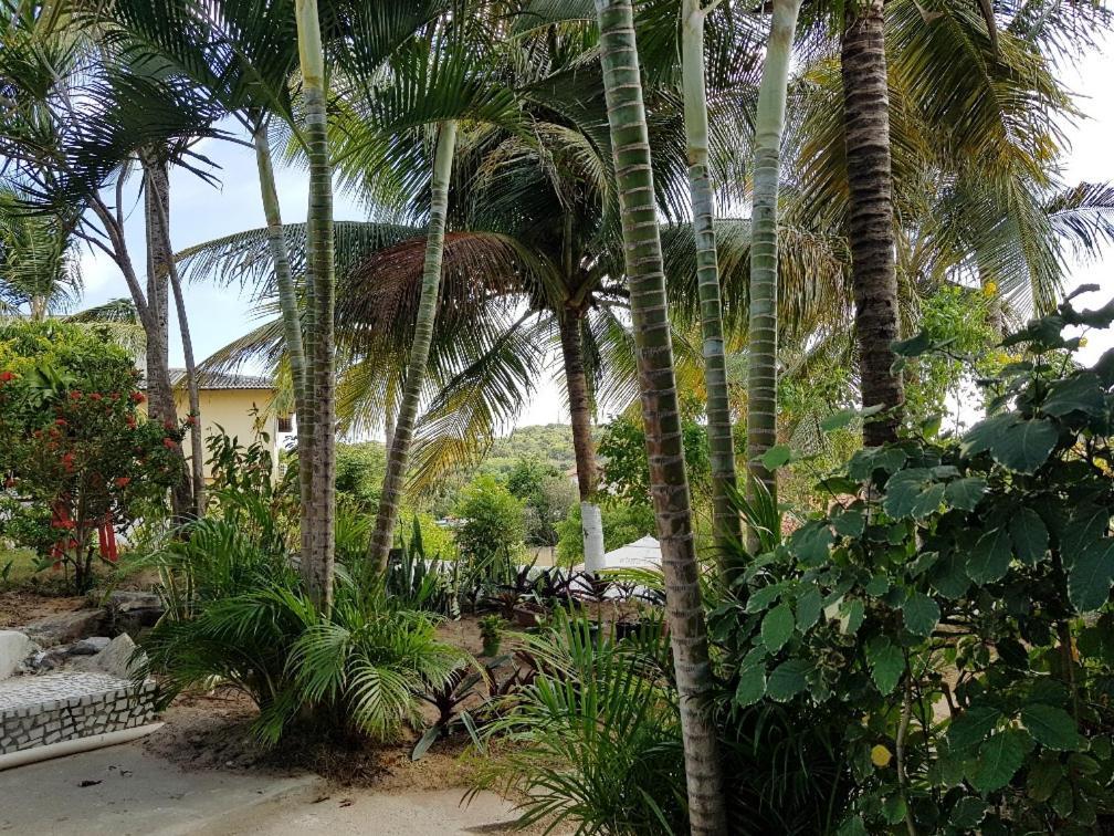 Ferienwohnung Casa Tua Pipa Praia de Pipa Exterior foto